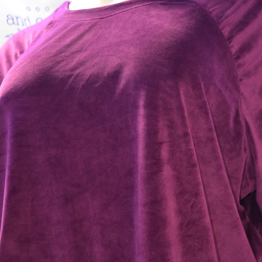 Terra & Sky Velour Egglant Pullover Blouse, Size 4X